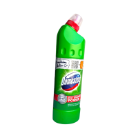 Чистящее средство Domestos Зеленый 0,75 л 9797