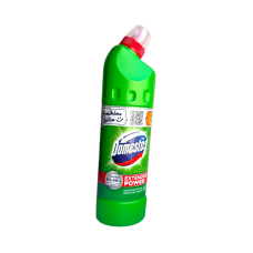Чистящее средство Domestos Зеленый 0,75 л 9797