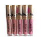 Помада жидкая матовая з гиалуроновою кислатою EVELINE VARIETE PERFECT MATTE LIP INK N 10 7293