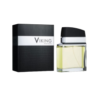 Парфумована вода чоловіча FLAVIA VIKING man EDP 100 мл.0210
