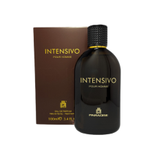 Парфюмированная вода мужская PARADISE INTENSIVO POUR HOME man EDP 100 мл. 0853