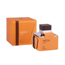 Парфюмированная вода мужская FLAVIA MEGA man EDP 100 мл.0044