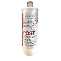 Бальзам стабілізатор Spa Master Prof BASIC LINE 403  SM після фарбування  1000 мл