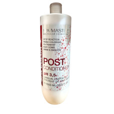 Бальзам стабілізатор Spa Master Prof BASIC LINE 403  SM після фарбування  1000 мл